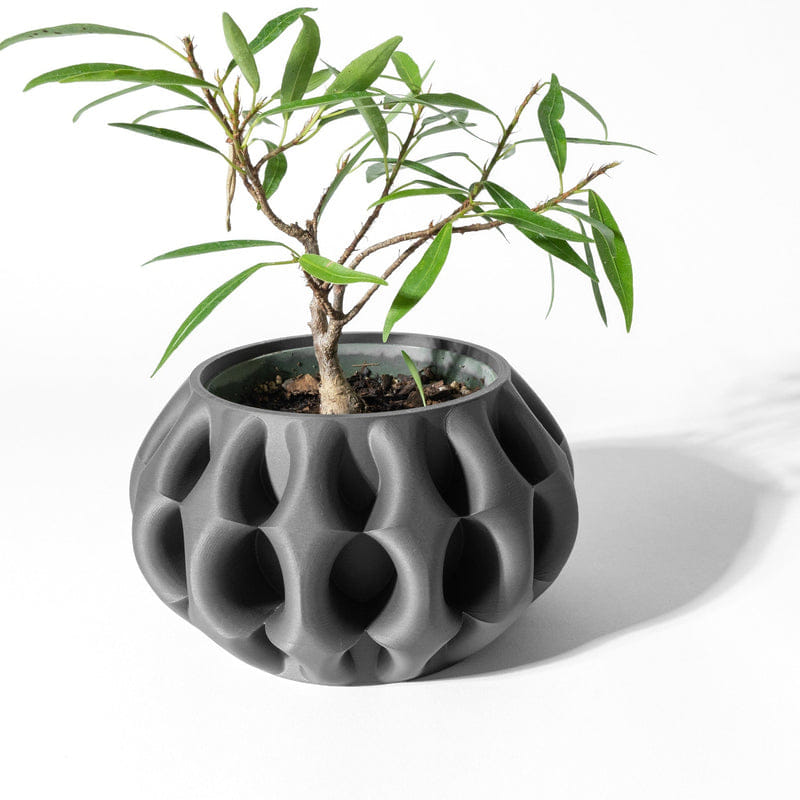 Wave Fin Planter