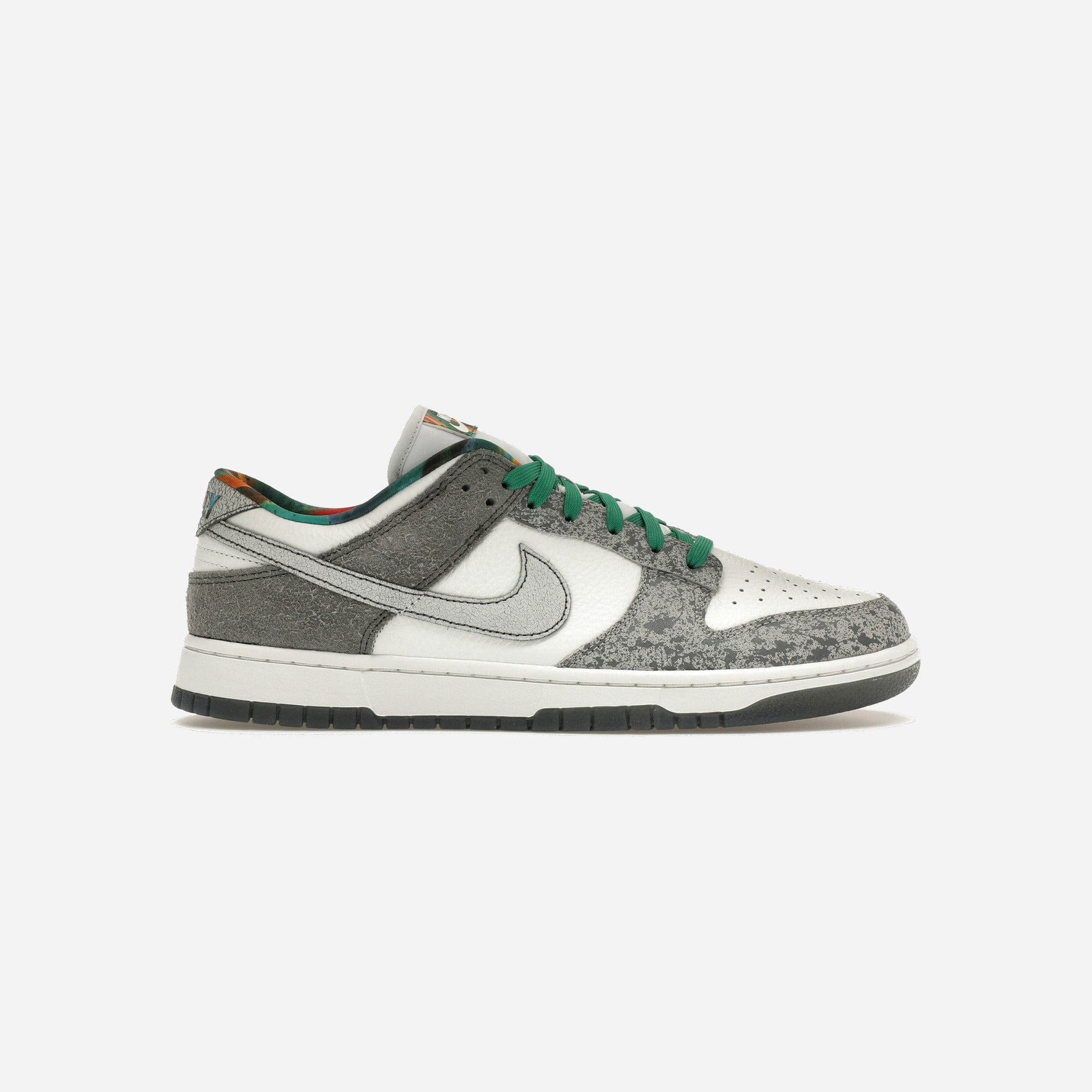 Nike Dunk Low Retro Premium Philly