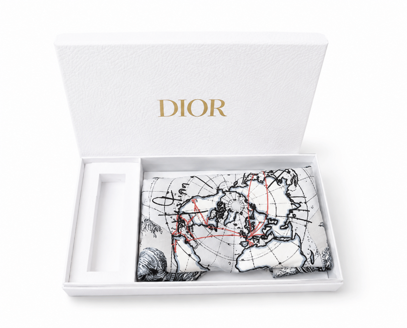 Dior Travel Bag VIP Gift Brand New Beautiful Print
