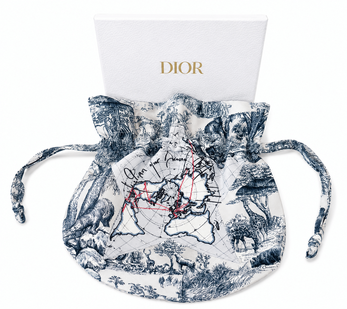 Dior Travel Bag VIP Gift Brand New Beautiful Print