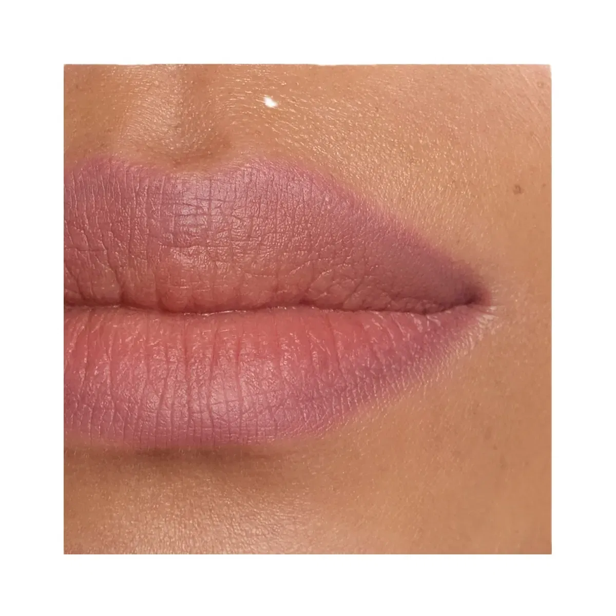 Morphe Best Selling Signature Lip Bundle - Light