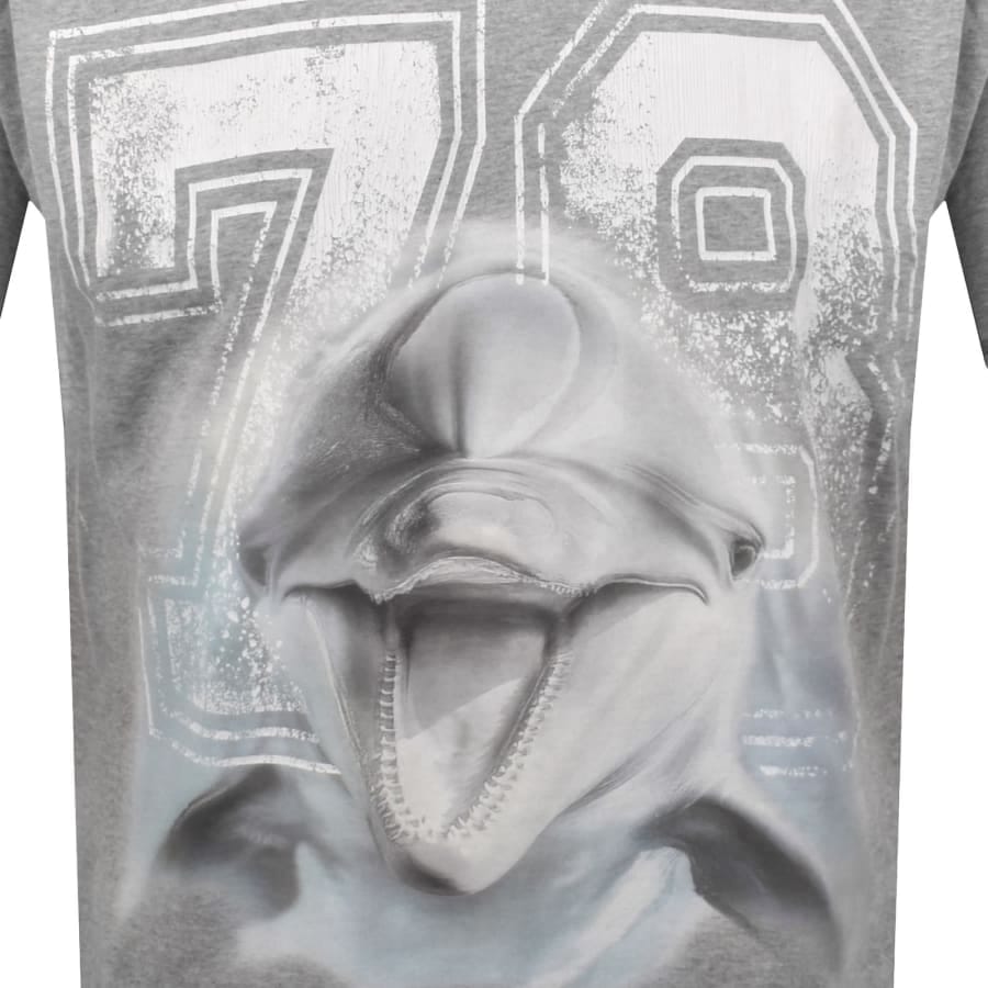 Diesel T Boxt Dolphin Print T Shirt Grey