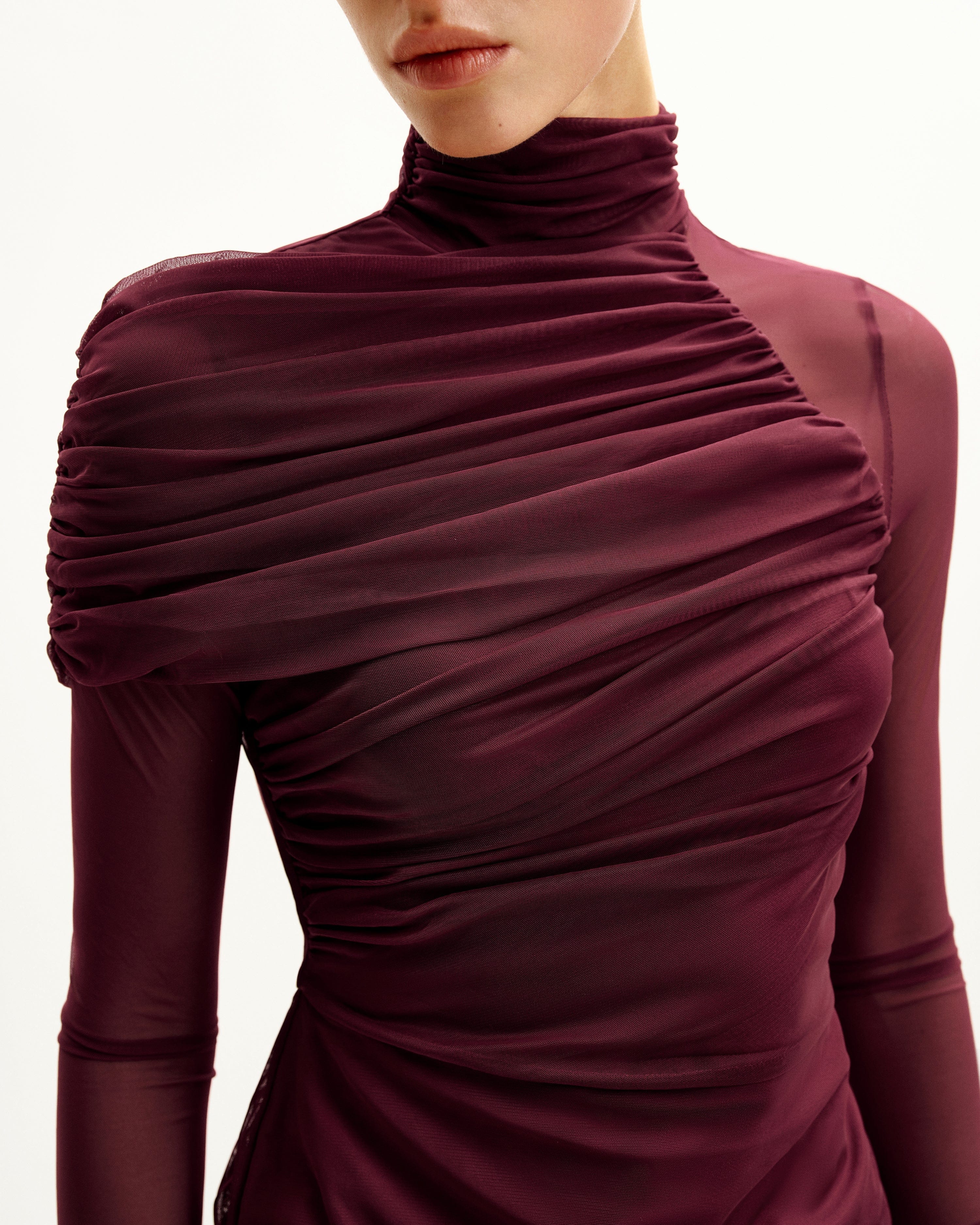 Ella Sheer Ruched Turtleneck Top - Burgundy