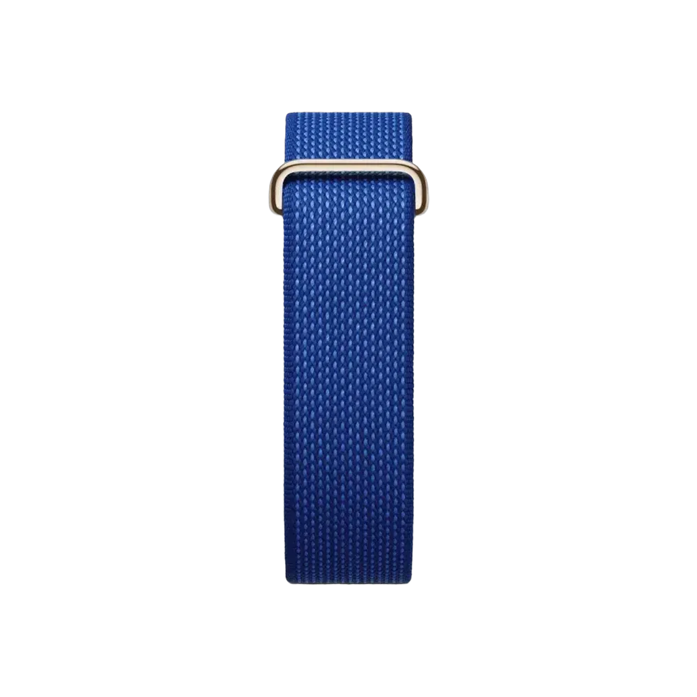 Google Fitbit Air Special Edition Pokémon Sleep