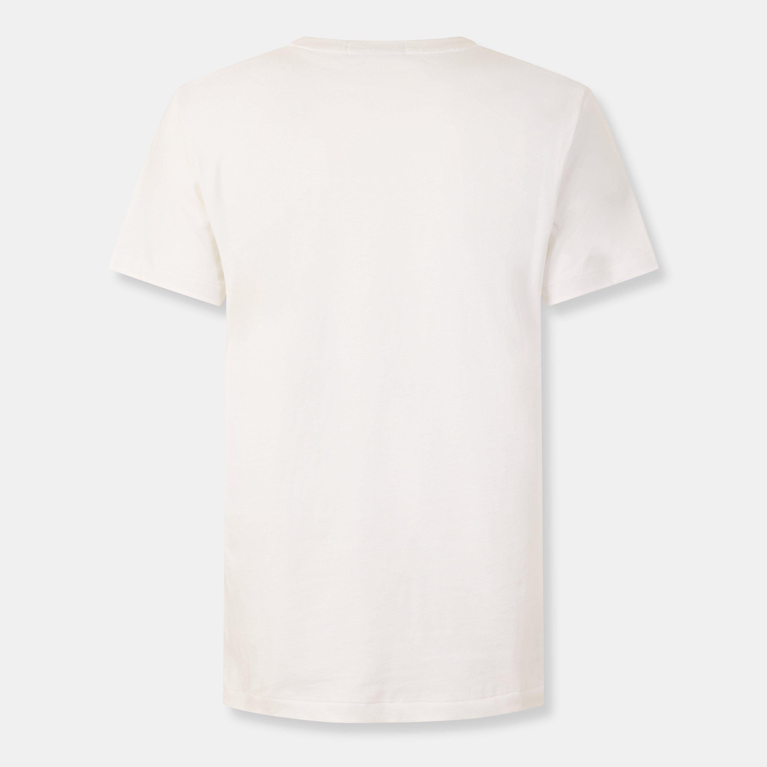 Men's Bear Regular Fit T-Shirt