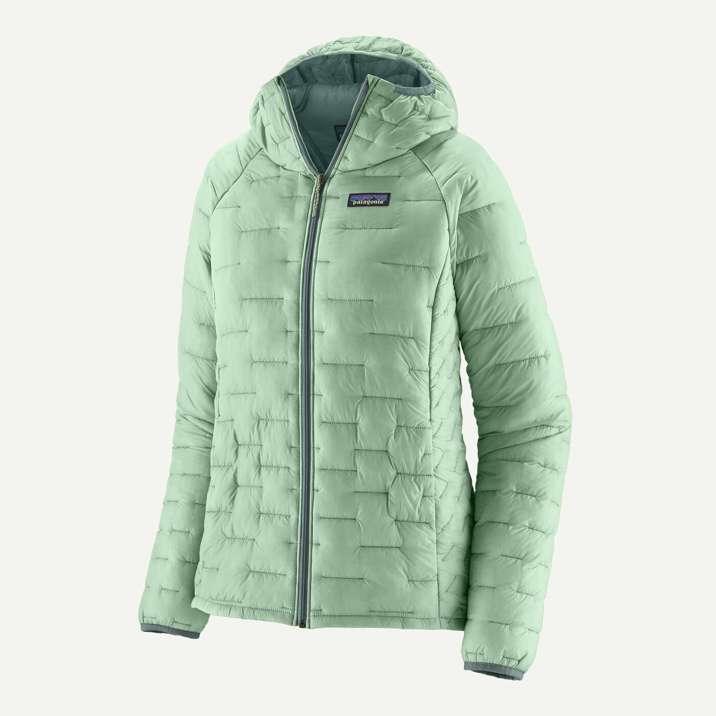 Patagonia W'S Micro Puff® Hoody