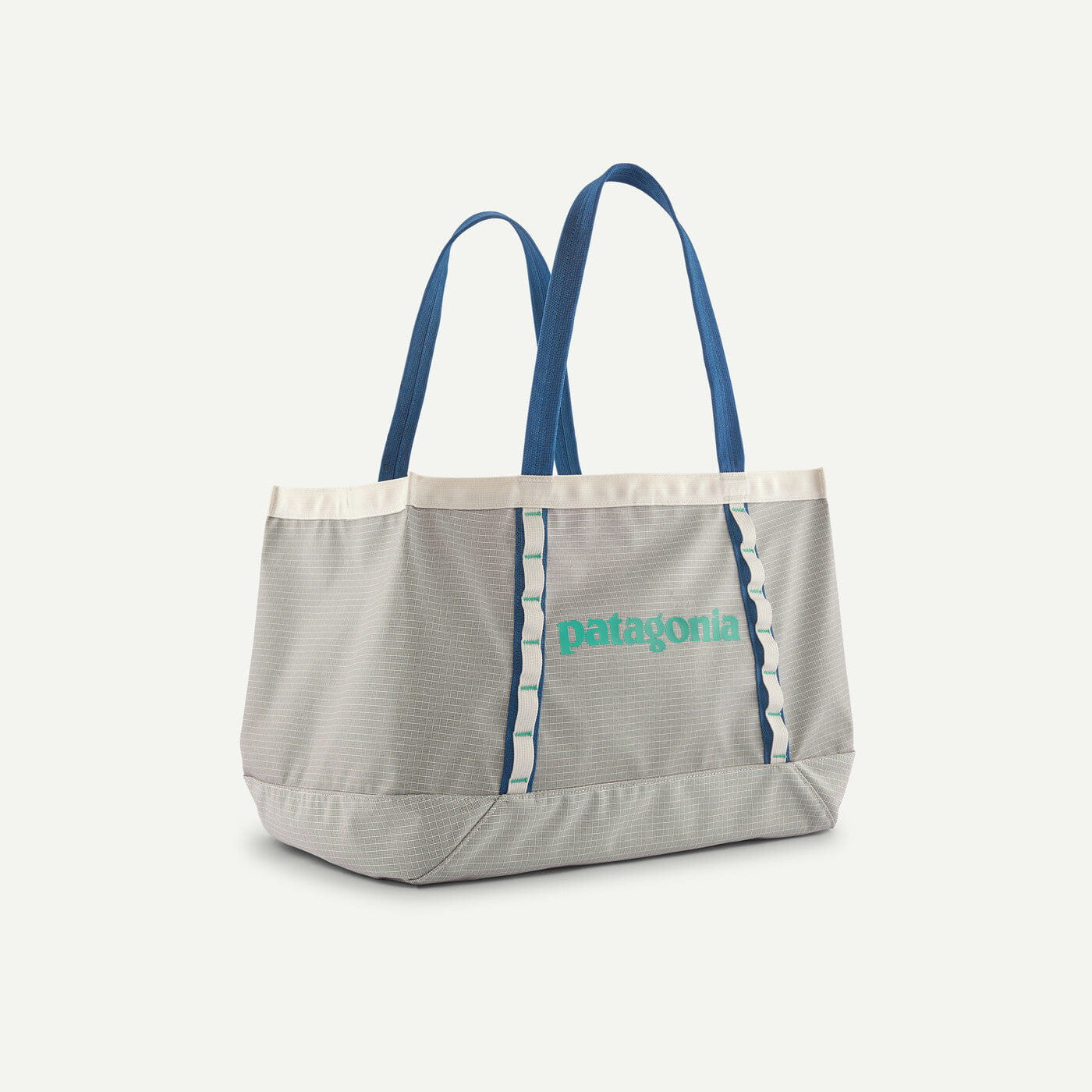 Patagonia Black Hole® Tote 25L