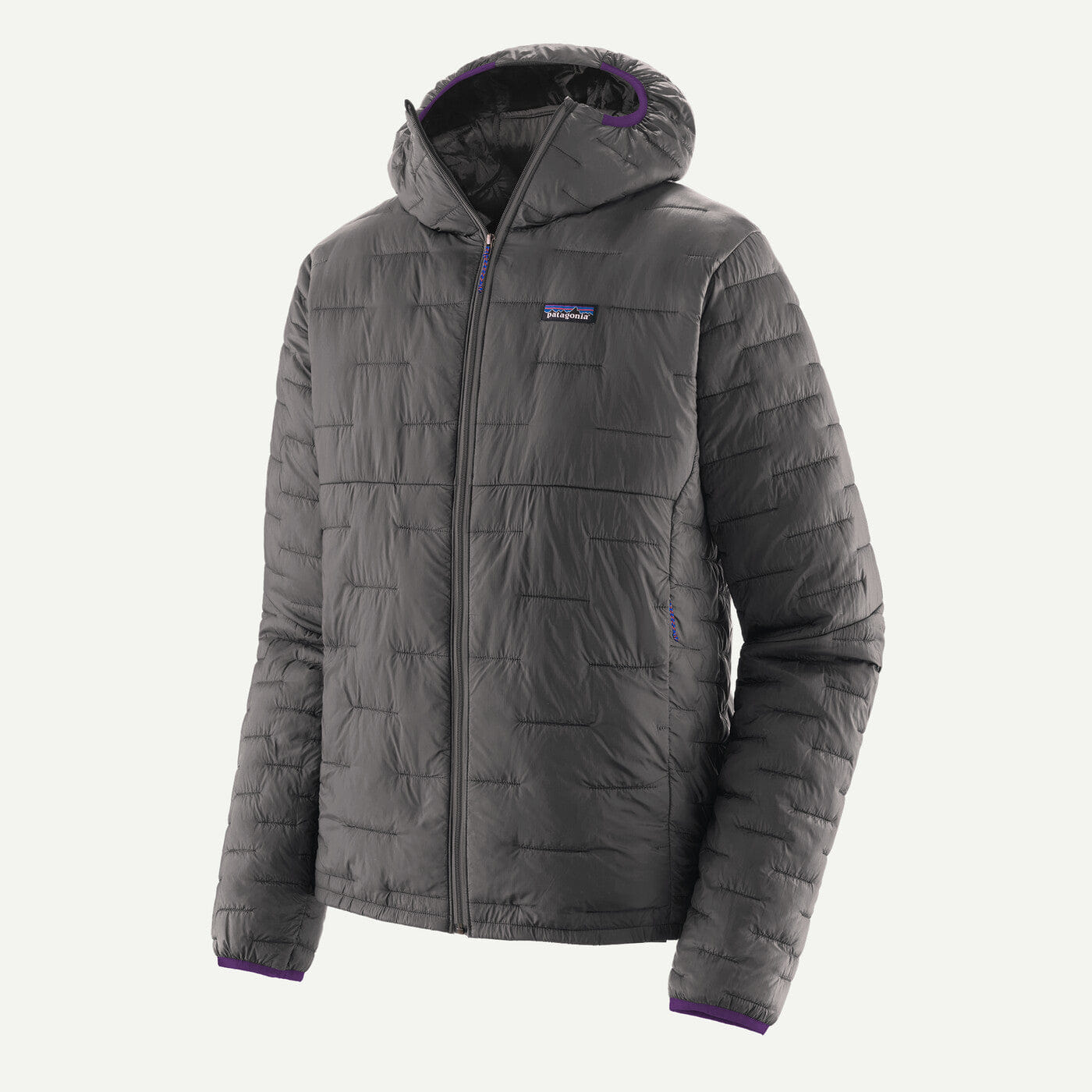Patagonia M'S Micro Puff® Hoody