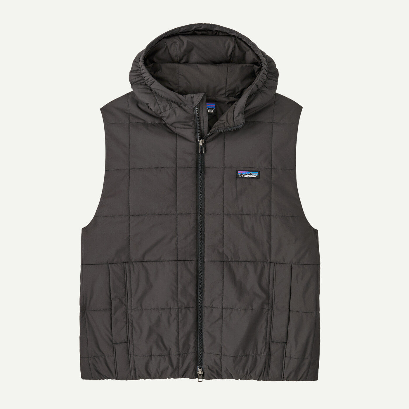 Patagonia W'S Light Gust Hooded Vest
