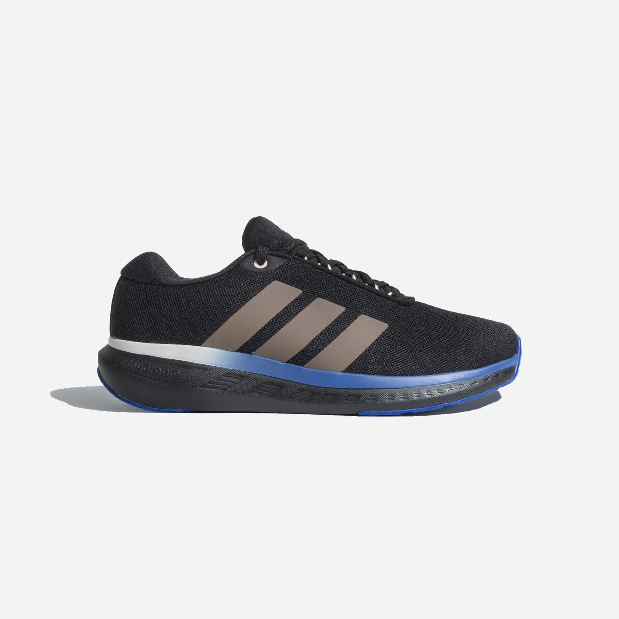 Adidas AeroEchoZest Core Black Earth Strata Semi Lucid Blue Putty Mauve WMNS