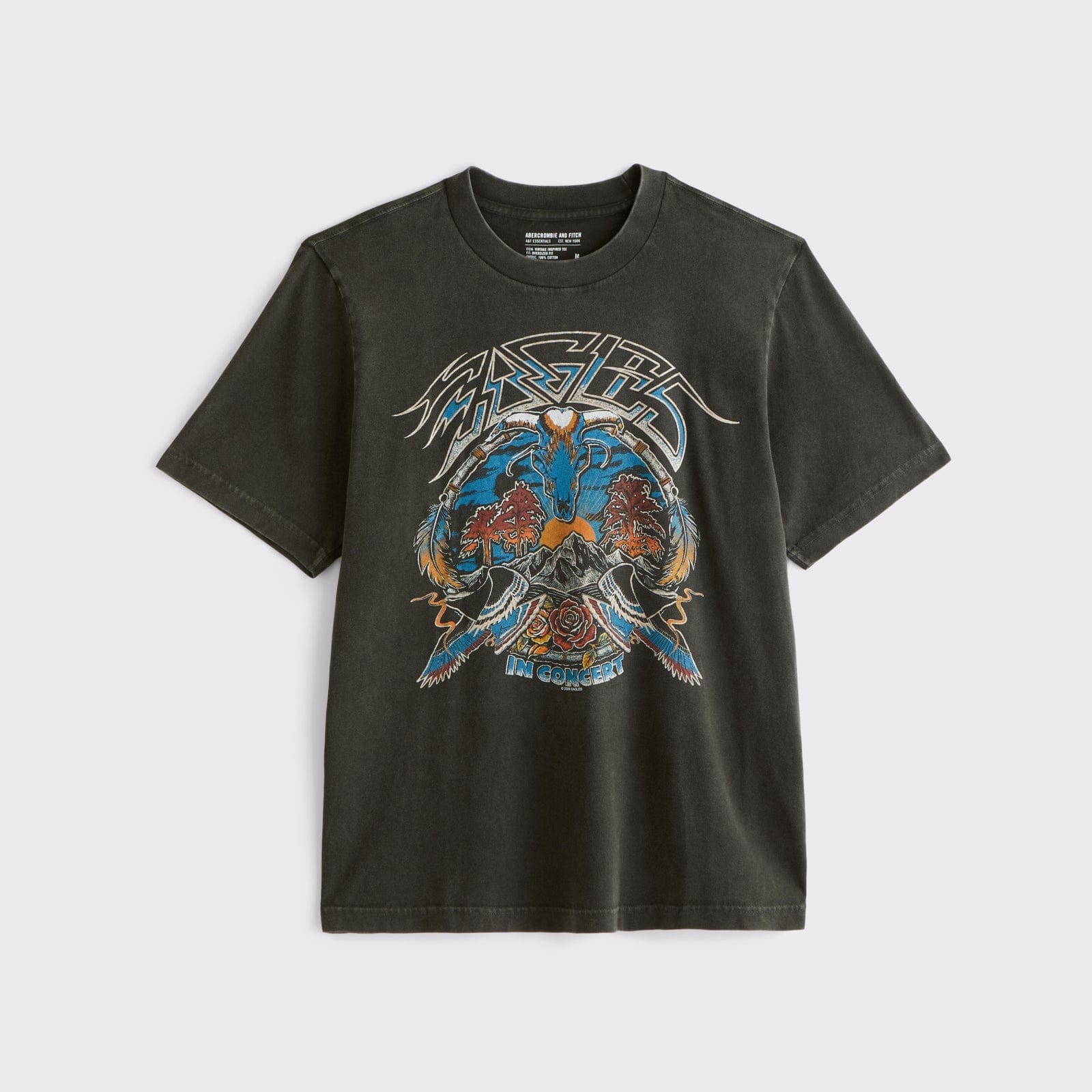 Abercrombie Eagles Vintage-Inspired Tee