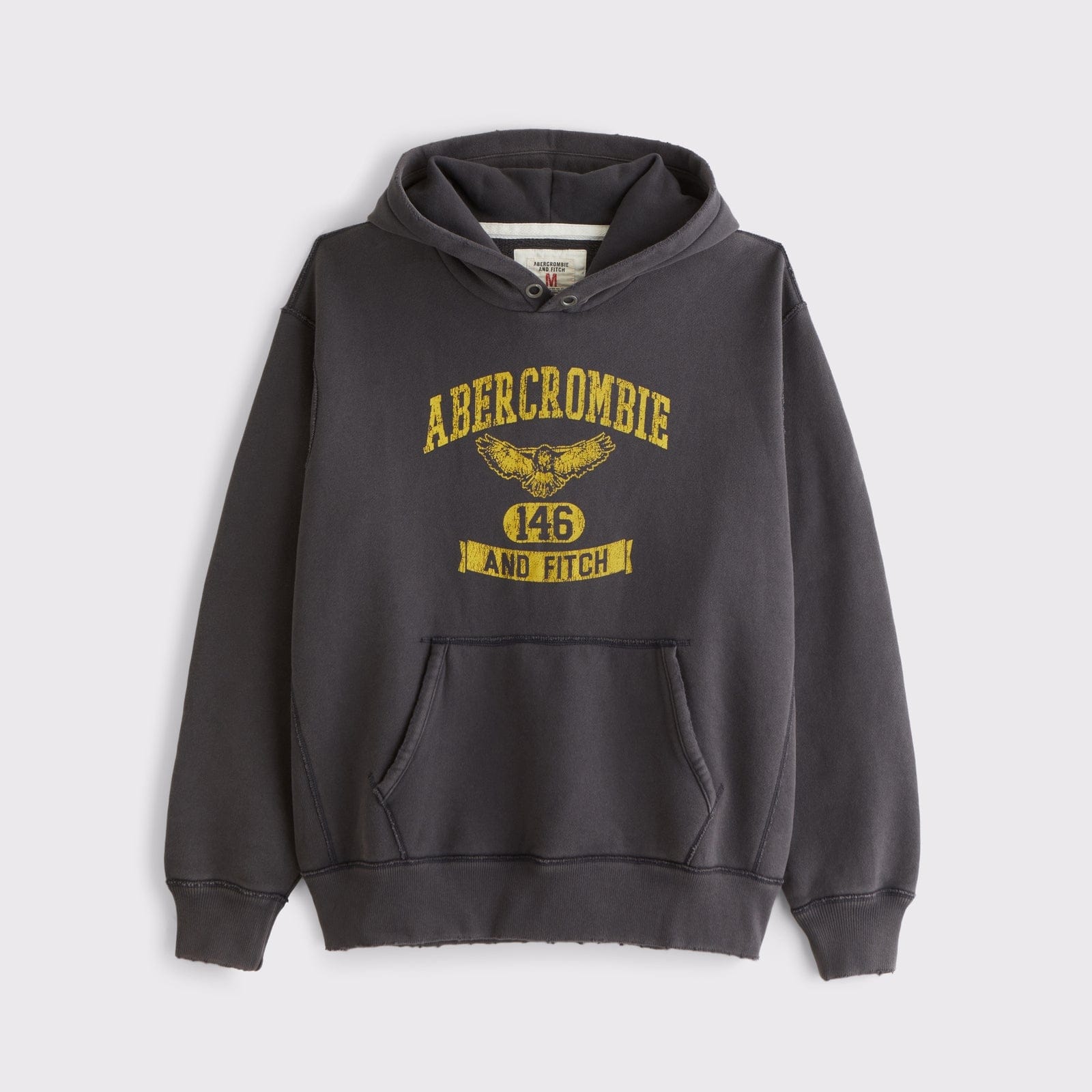 Abercrombie Logo Popover Hoodie