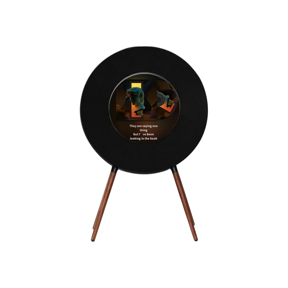 MorningBlues Record R1 Speaker