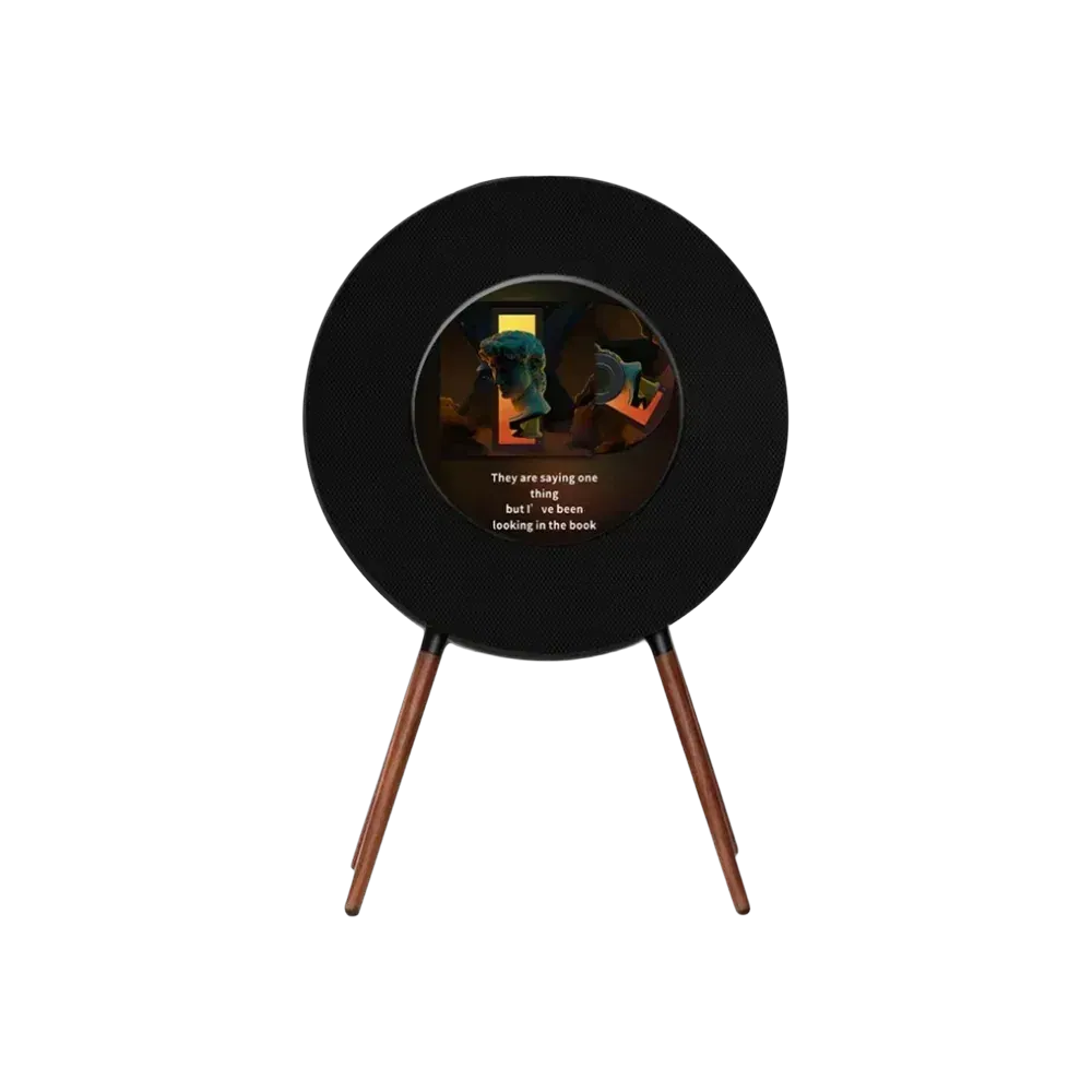 MorningBlues Record R1 Speaker