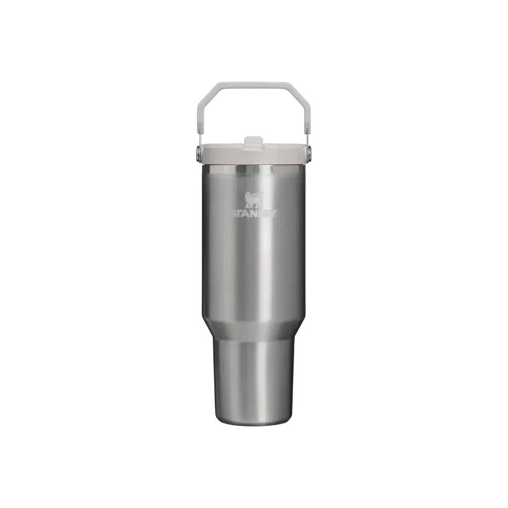 Stanley The IceFlow Flip Straw Tumbler 30 OZ Stainless Steel Ash