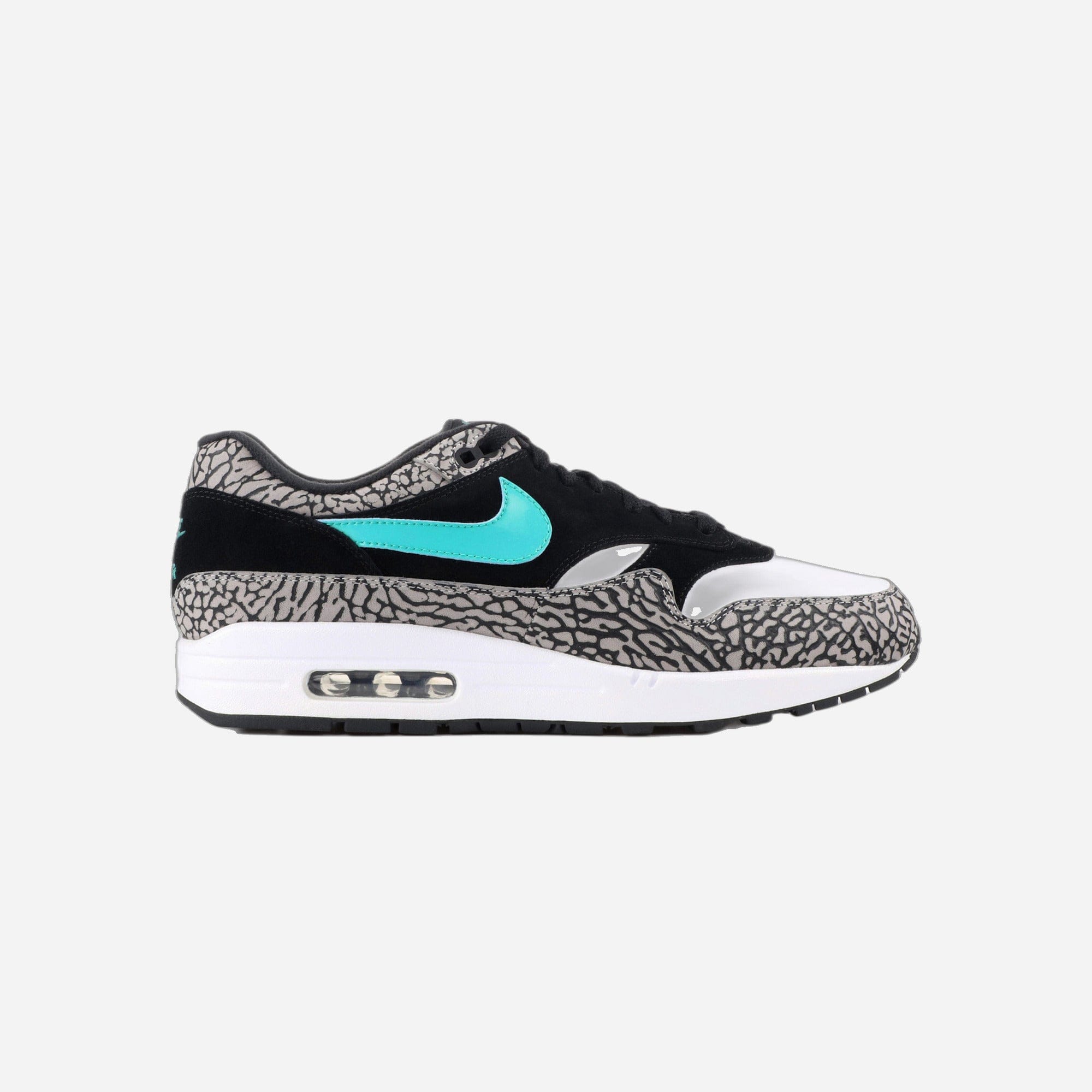 Nike Air Max 1 Atmos X Jordan