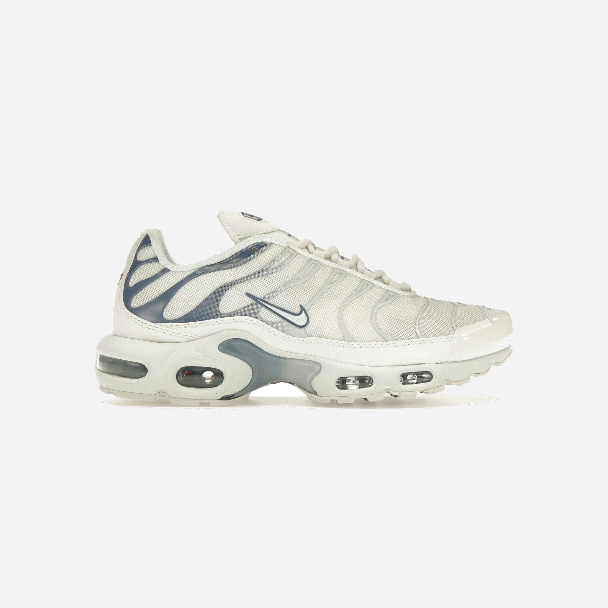 Nike Air Max Plus Ashen Slate WMNS