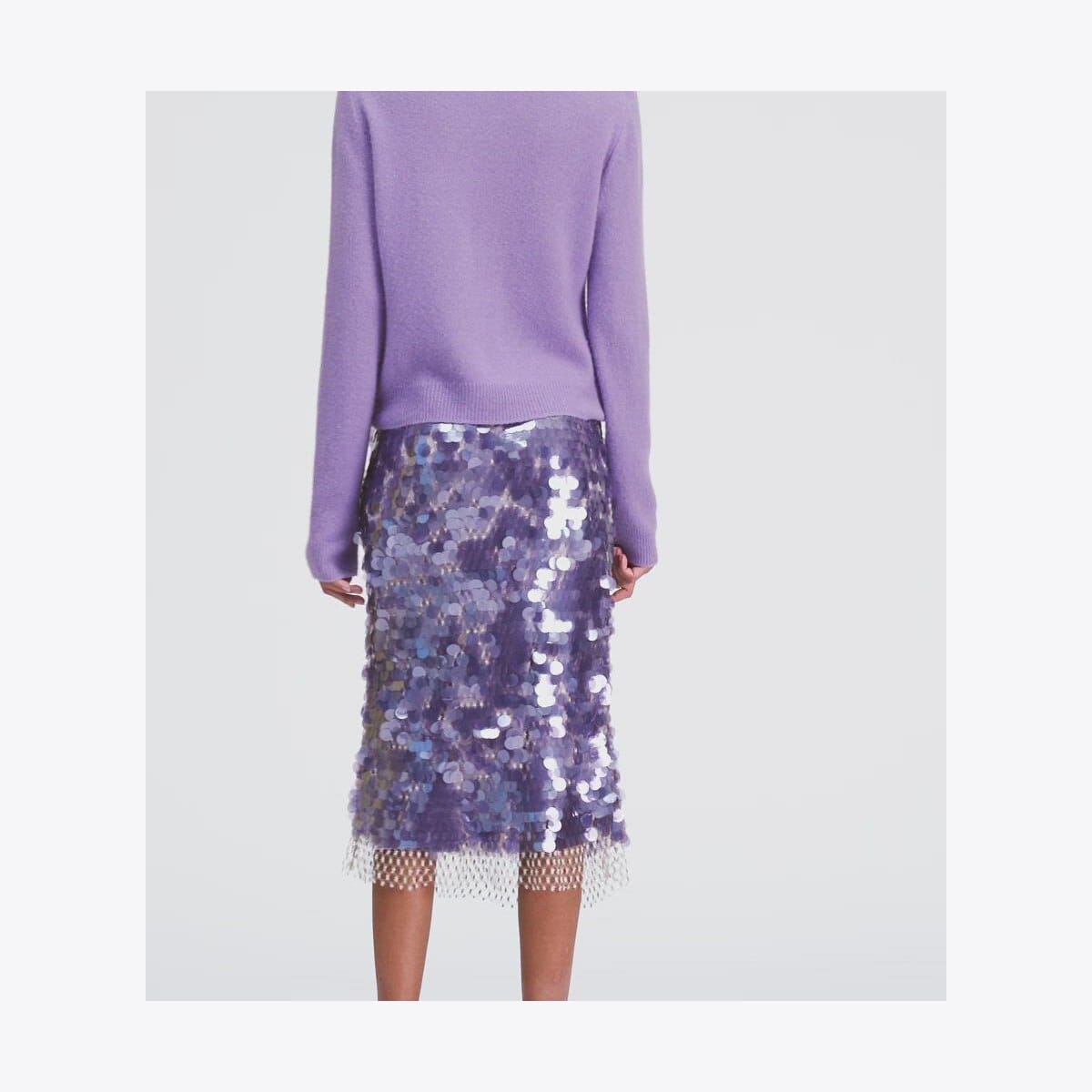 Sequined Skirt