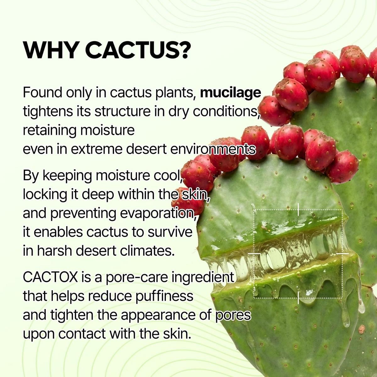 Dr. Melaxin Cactox Pore Relief Jelly Serum Mist
