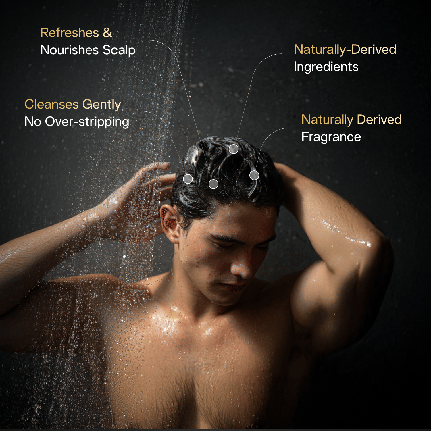 Based Shampoo