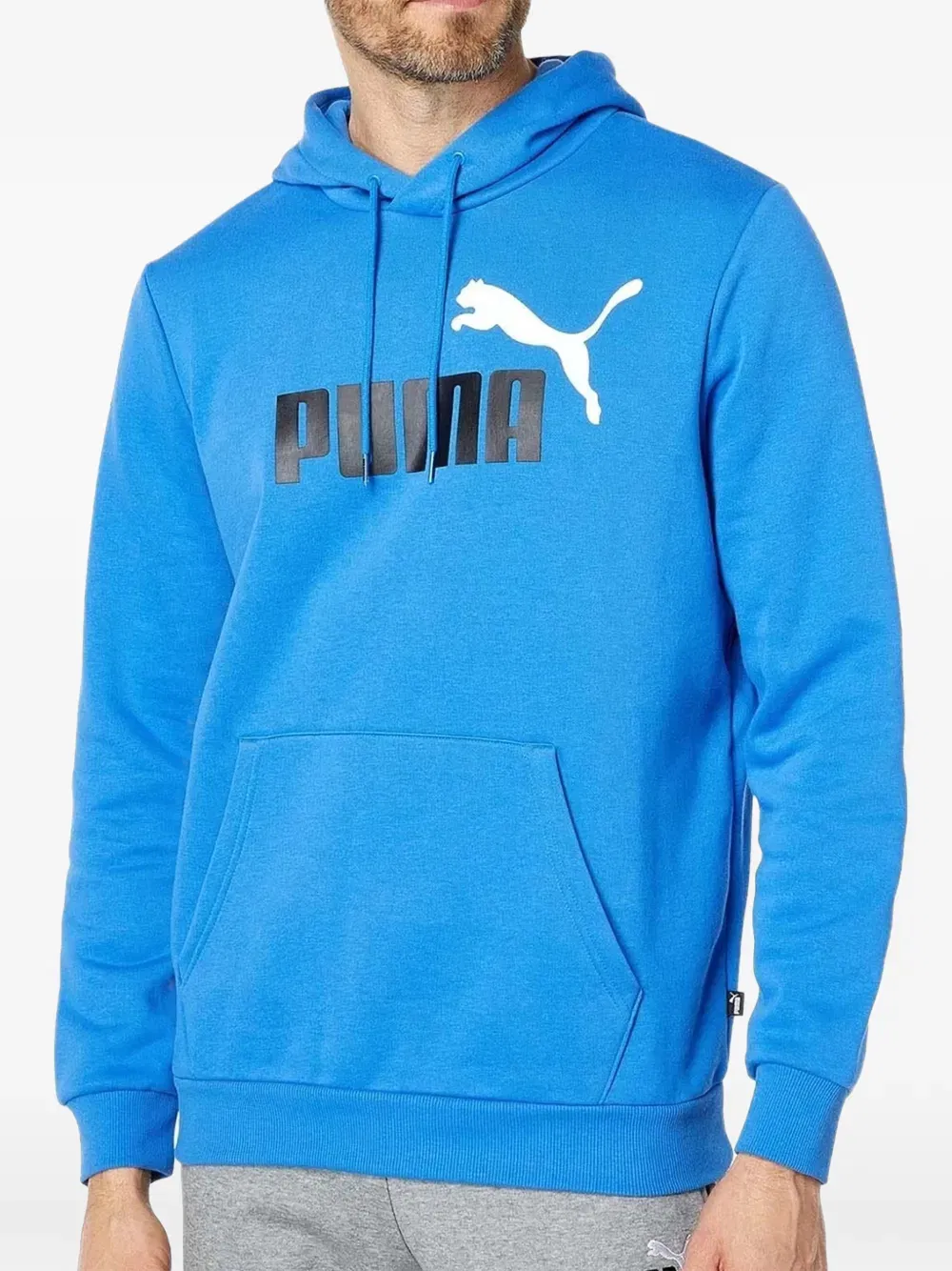 Essential Big Logo fleece Hoodie