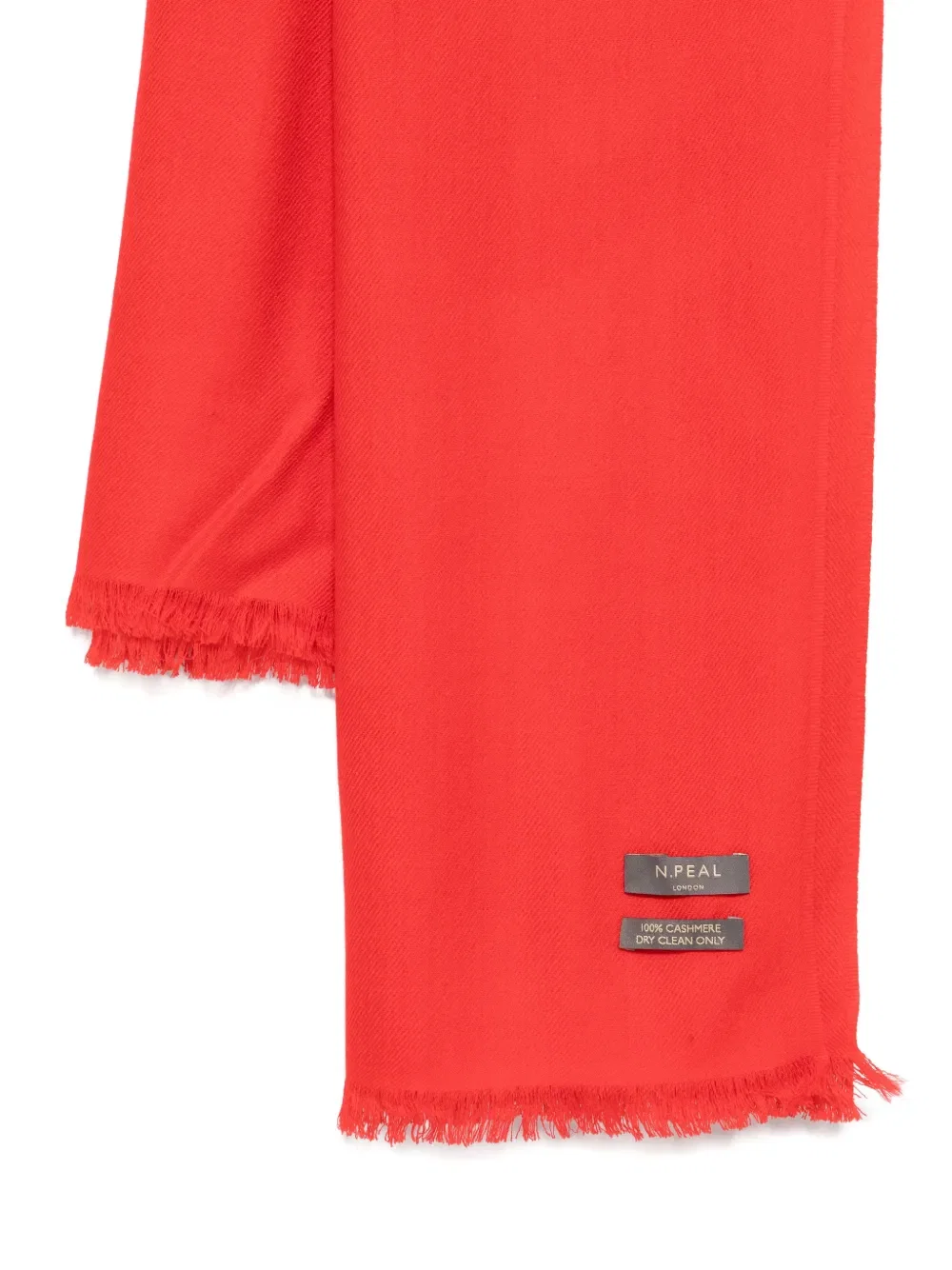 pashmina shawl