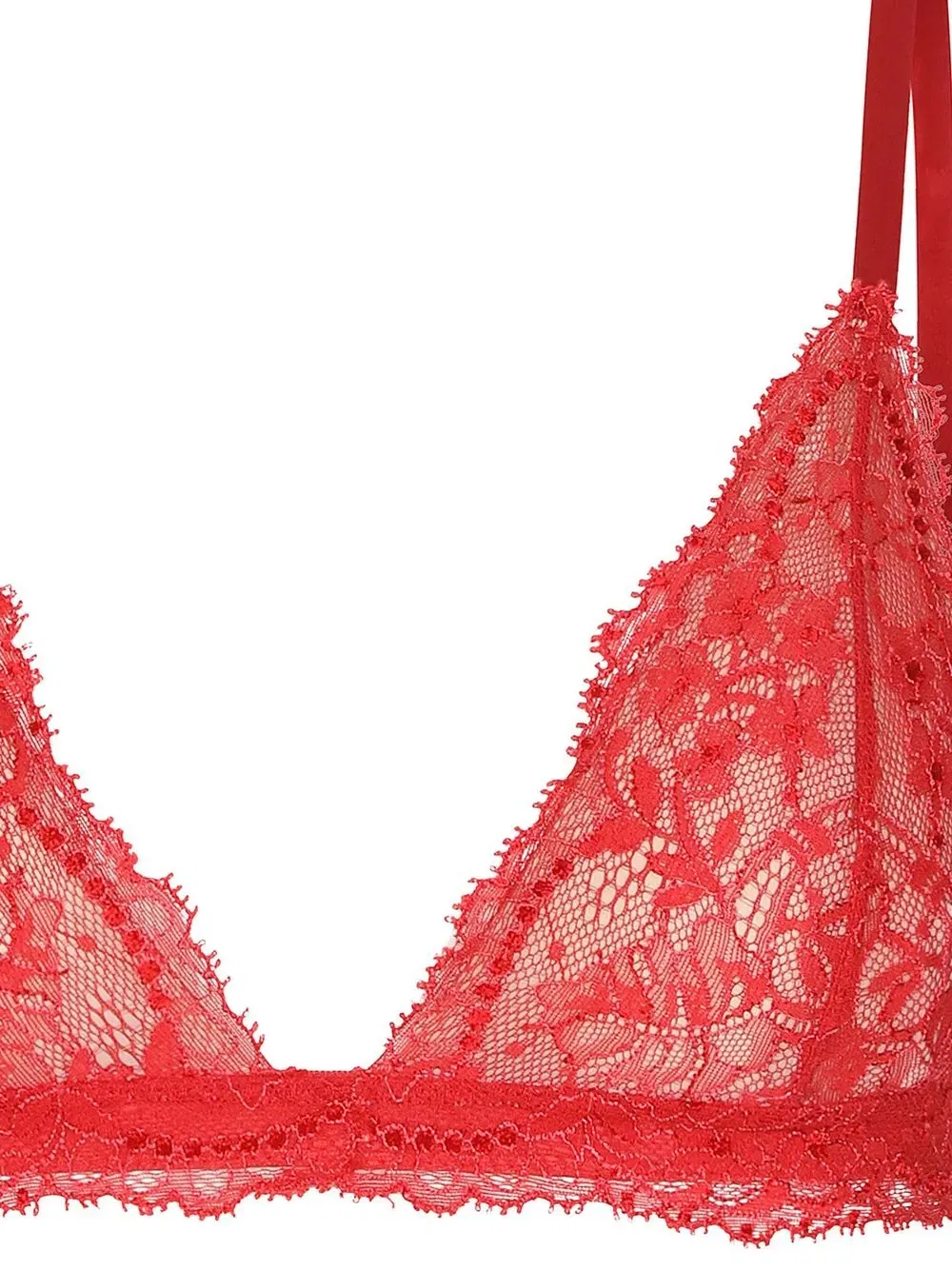 chantilly-lace triangle bra