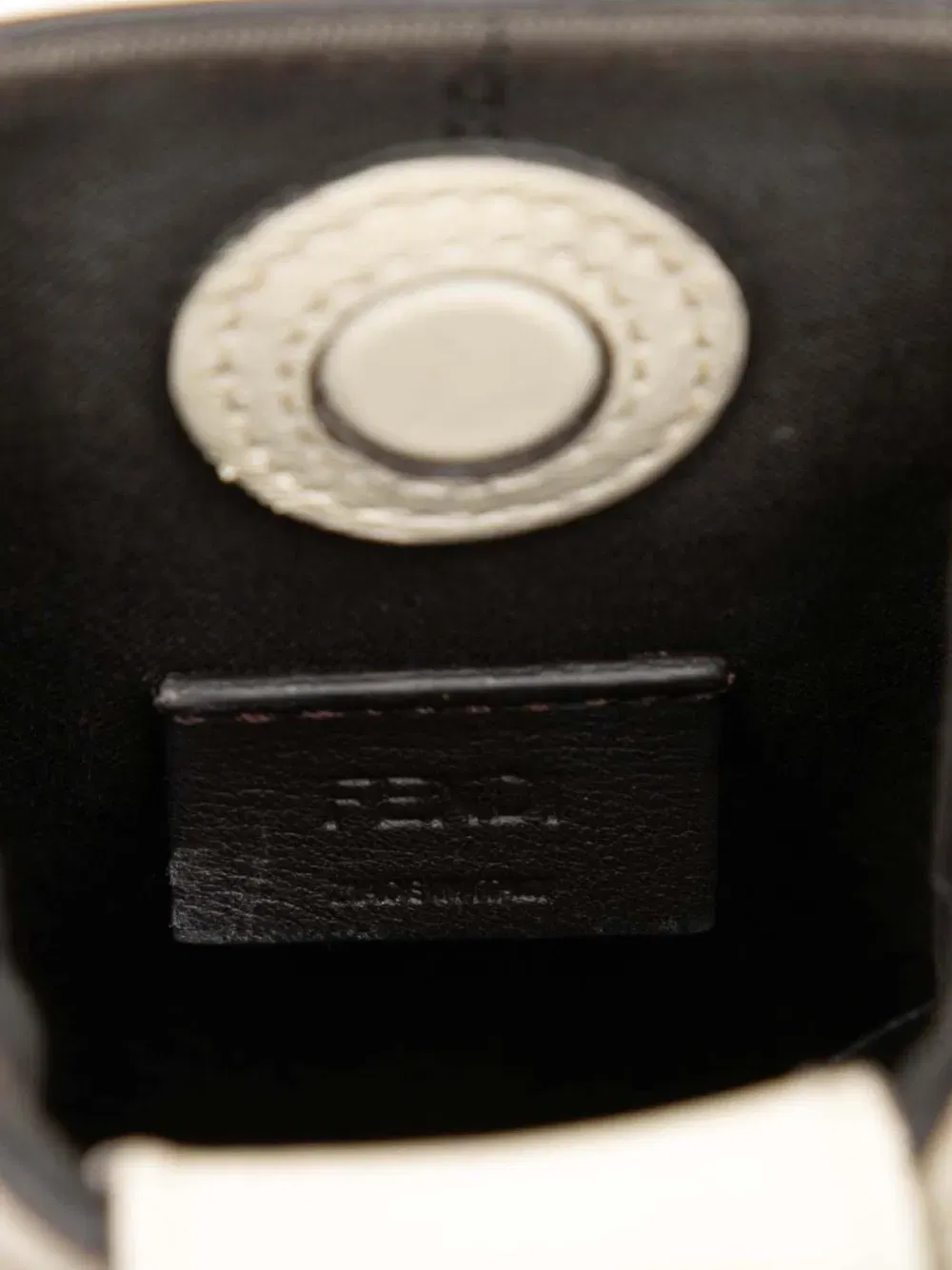 2010-2025 Leather Fendigraphy Phone Pouch crossbody bag