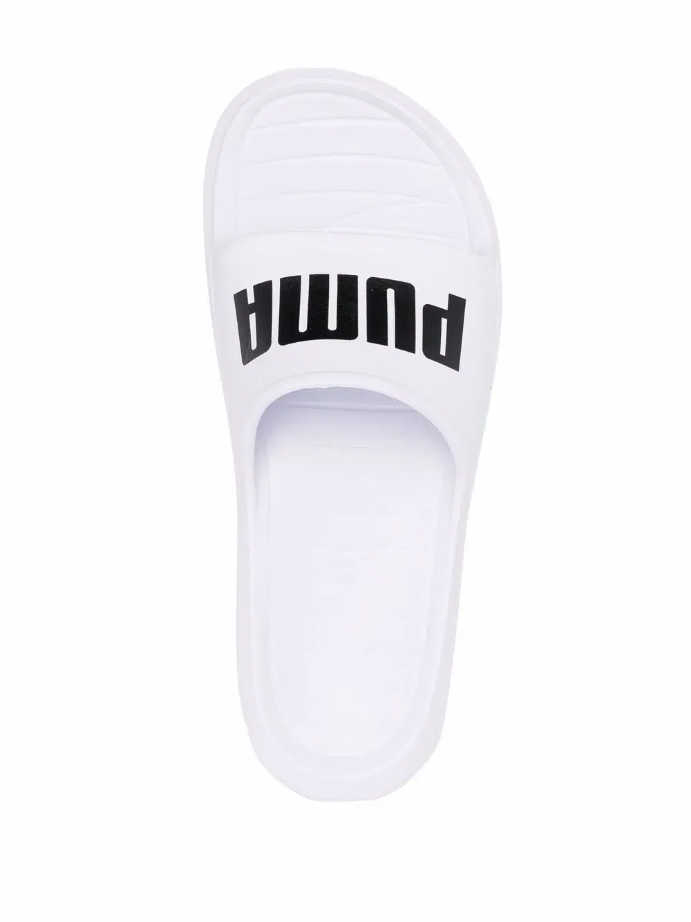 Divecat V2 slides