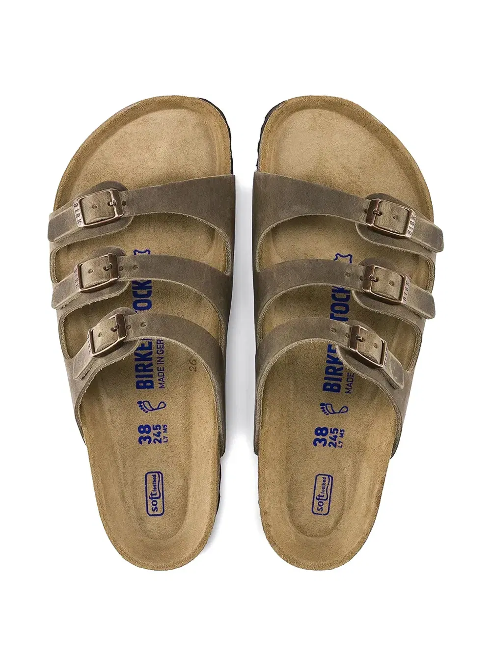 Florida slides