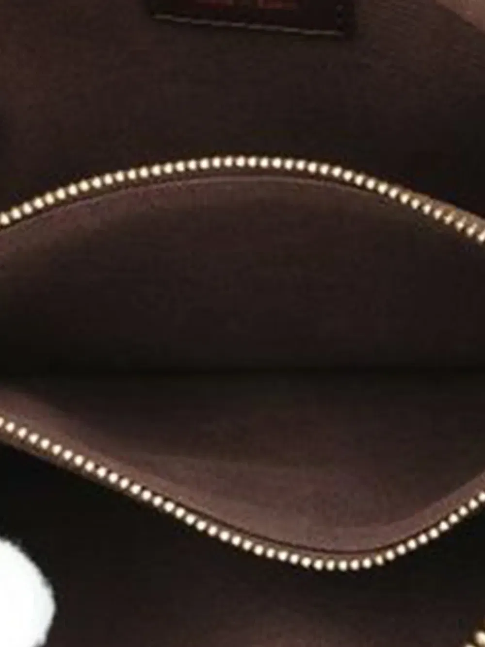 2010 Damier Ebene Brooklyn Bum Bag belt bag