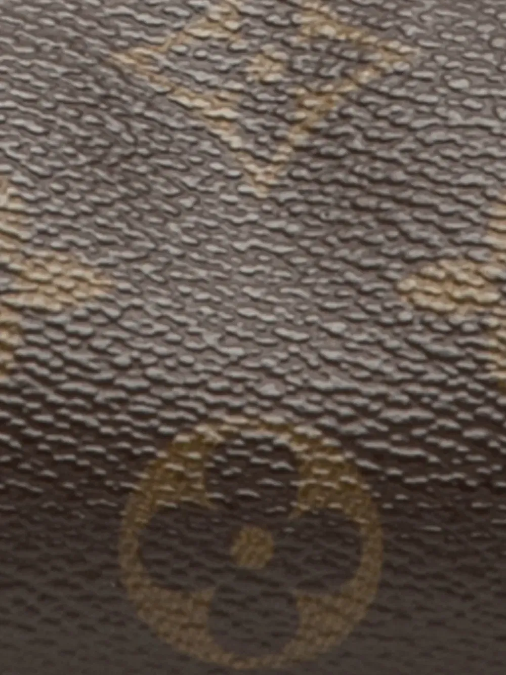 1980-2021 Monogram Papillon Pochette handbag