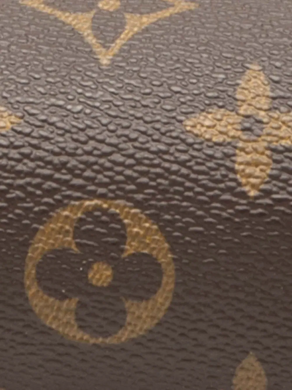 2010-2020 Monogram Papillon Pochette handbag